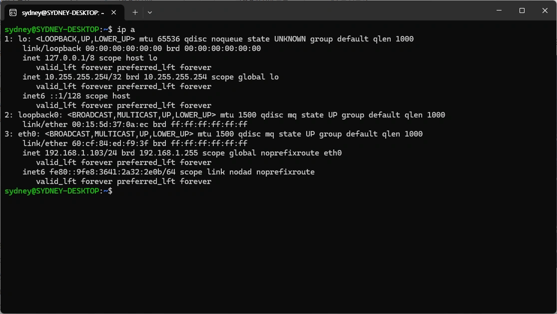 WSL IP