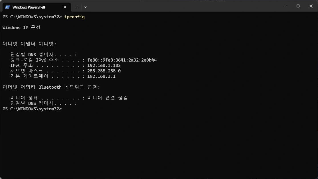 호스트 IP