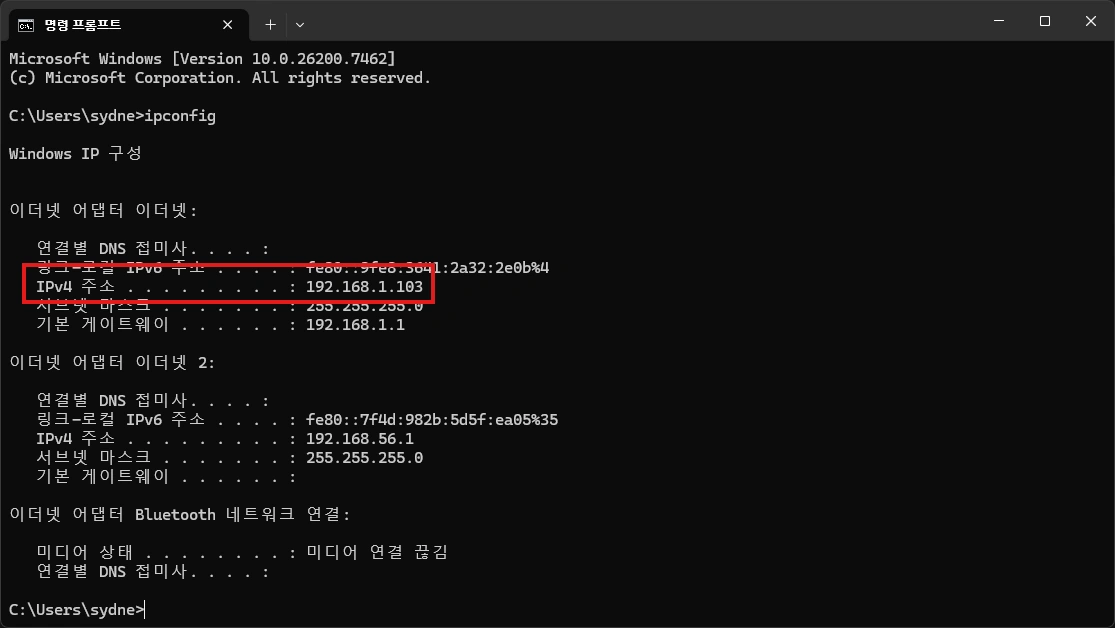 호스트 IP