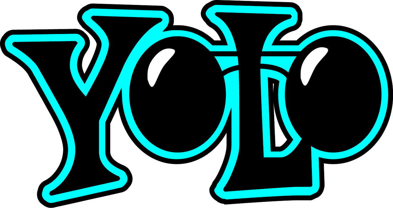 YOLO 로고